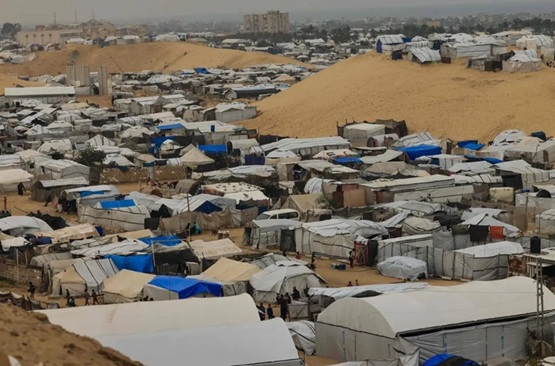 Ratas, pulgas y parásitos proliferan en los campos de desplazados de Gaza