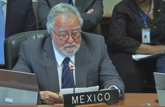 Llama México en OEA a fortalecer cooperación contra el tráfico de armas de fuego