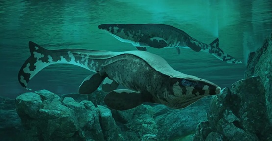 Bombazo en la paleontología: Descubren un nuevo T.rex que no cazaba en la tierra sino en las profundidades del océano